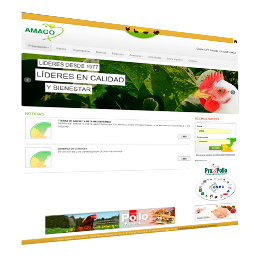 Diseño y desarrollo web AMACO